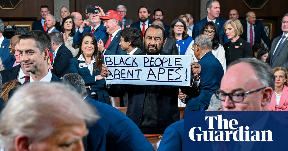 Al Green addresses his 'Black people aren't apes' protest against Trump – video