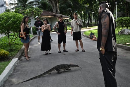 People stand around on a park path looking at a water monitor lizard