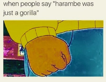 How a dead gorilla became the meme of 2016 - BBC News