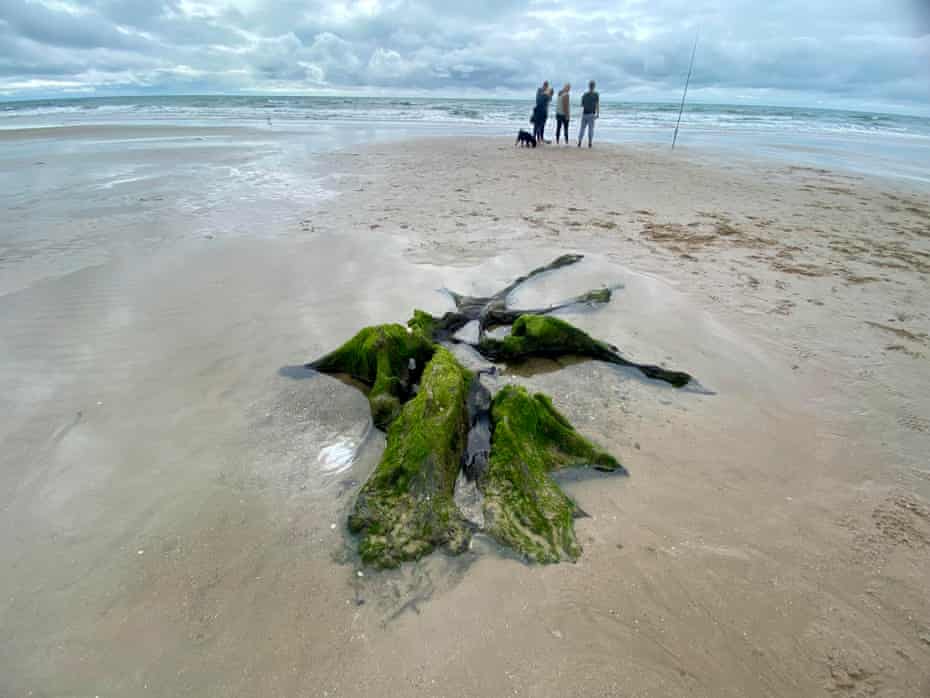 Walkers on the beach between Tywyn and Aberdyfi with ancient tree stump