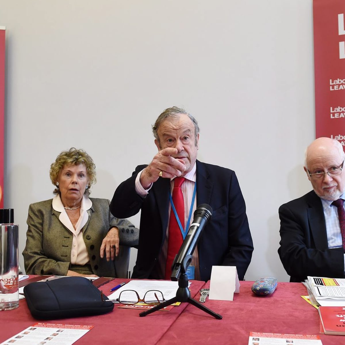 Deputy Chair Of Vote Leave Condemns Damaging Bickering At Top Of Group Politics The Guardian