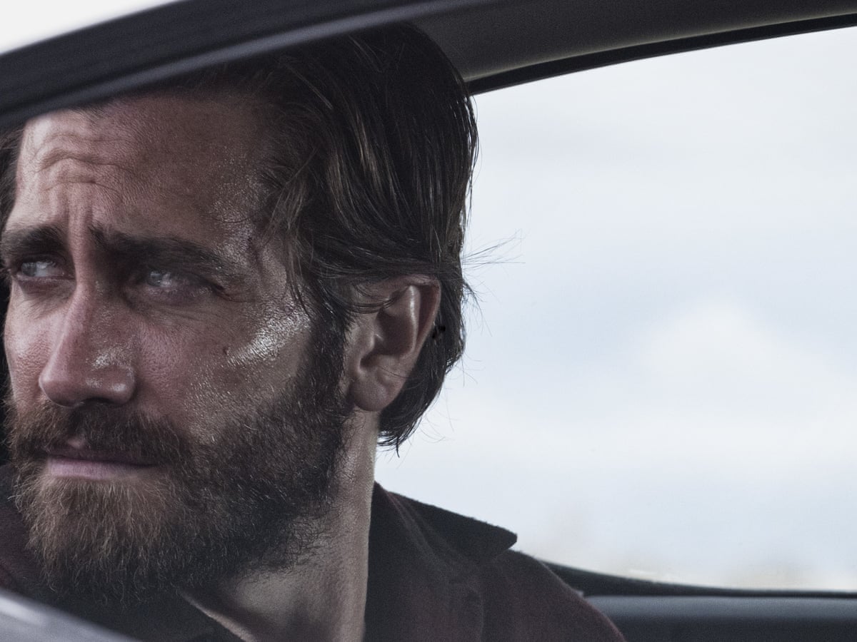 The Dark Dreamscape Of Nocturnal Animals