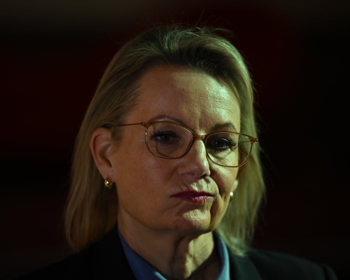 Sussan Ley’s potential net zero compromise risks tearing the Coalition apart and alienating voters on all sides