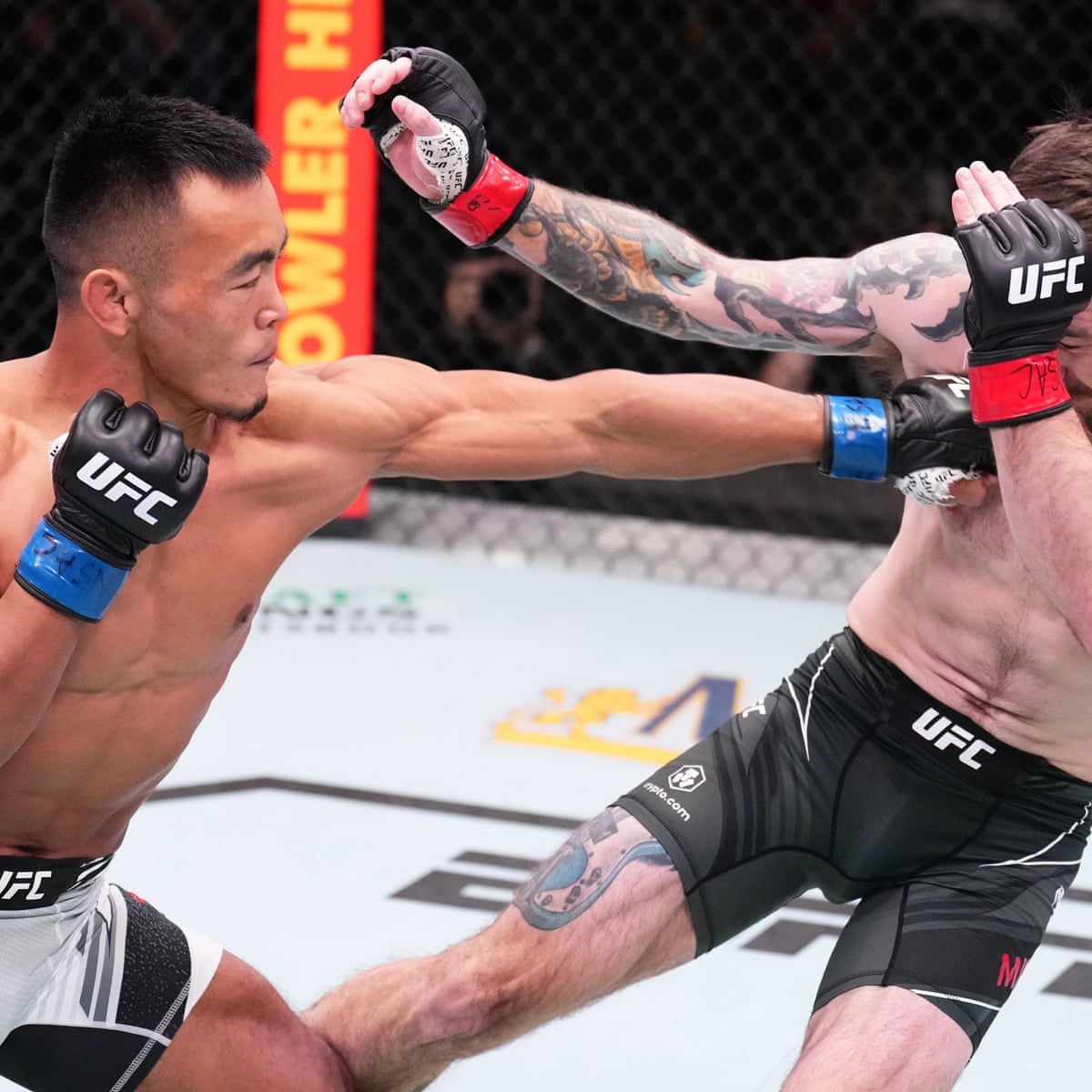 7 UFC fighters with the most knockouts
