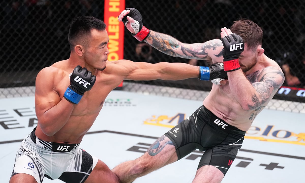 How to bet on MMA? Expert advice
