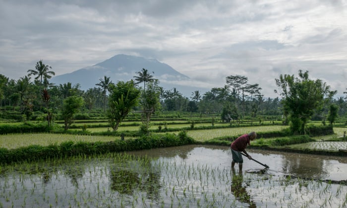 Mount Agung as seen from a nearby village in Karangasem, Bali. Photograph: Made Nagi/EPA  Mount Agung as seen from a nearby village in Karangasem, Bali. Photograph: Made Nagi/EPA