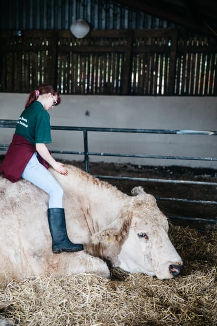 New best friends: when Mo, 17, first arrived she was terrified of the cows.