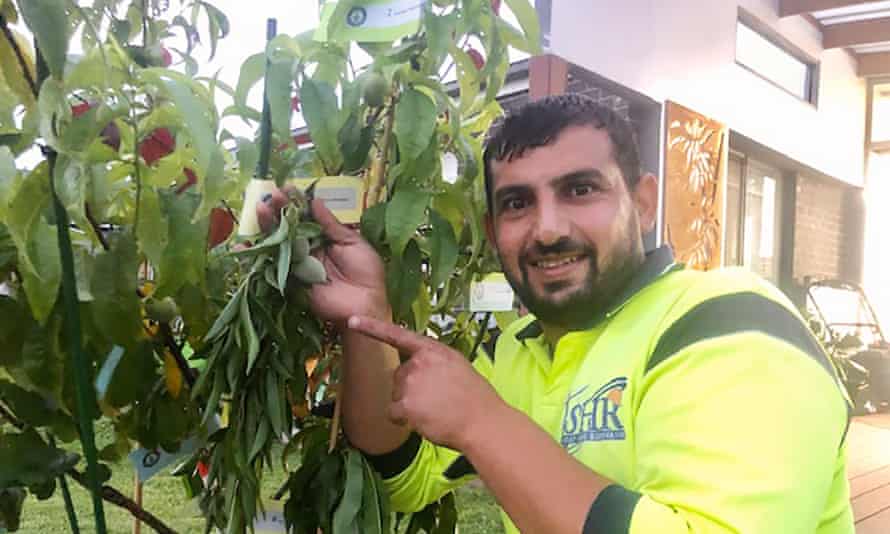 Hussam Saraf with record-breaking tree.