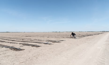 A migrant worker in a field