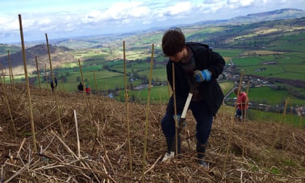 The Stump up for Trees planting initiative in the Black Mountains