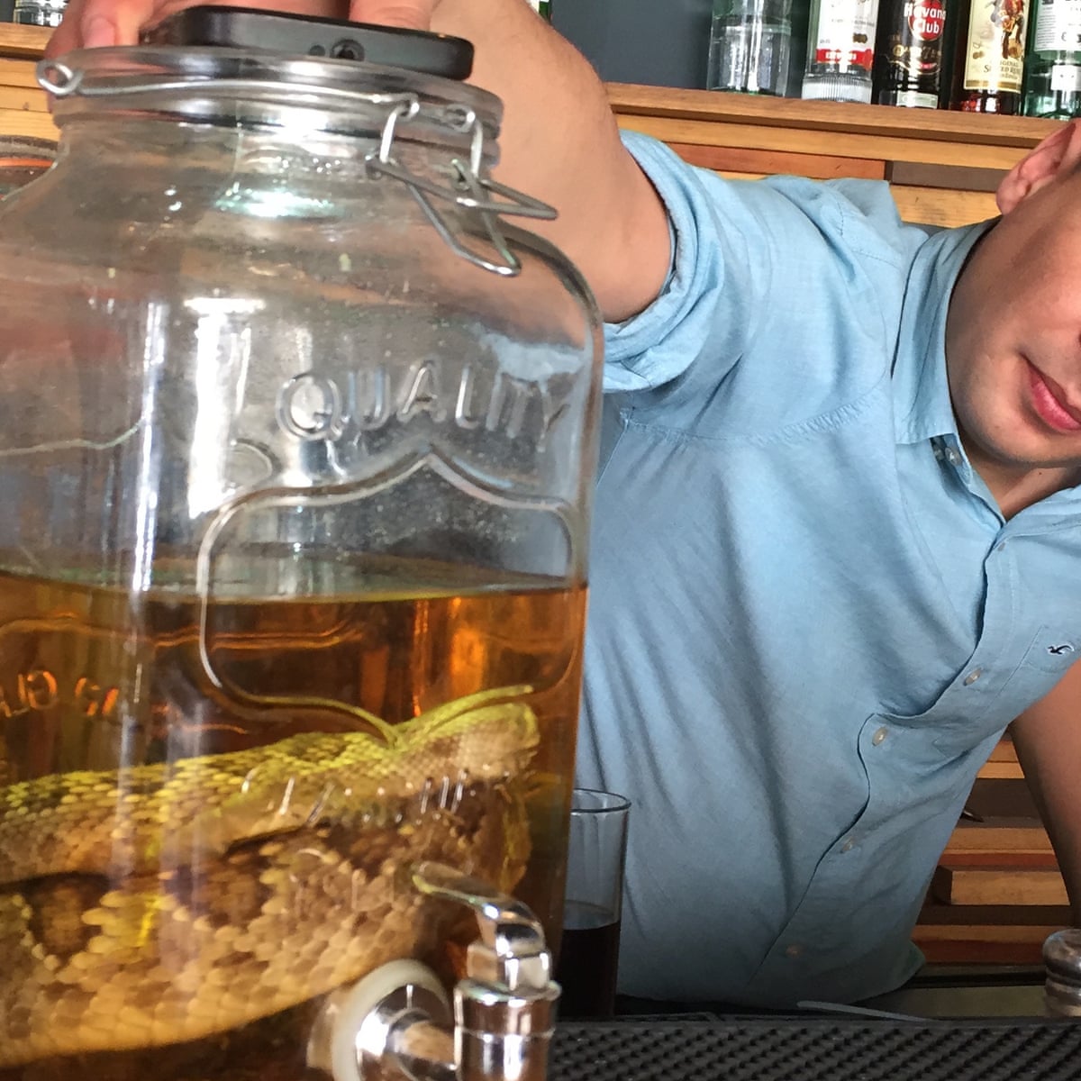 Juarez In A Bottle Mexican Moonshine Made With Snakes Resurfaces In Us Mexico The Guardian Juarez In A Bottle Mexican Moonshine Made With Snakes Resurfaces In Us Mexico The Guardian