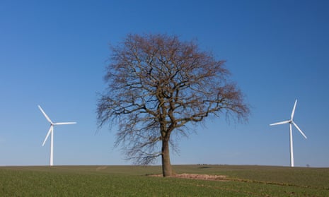tree in between wind turbines