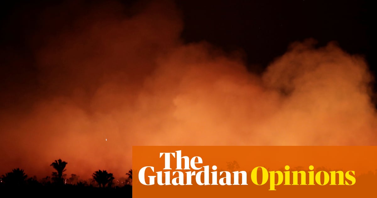 In Bolsonaro’s burning Brazilian Amazon, all our futures are being consumed