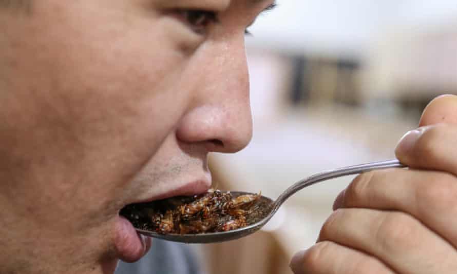 A man spoons a large spoonful of baked Orthoptera crickets to his mouth