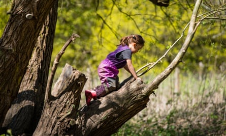 Climbing trees at a Little Forest Folk holiday camp.