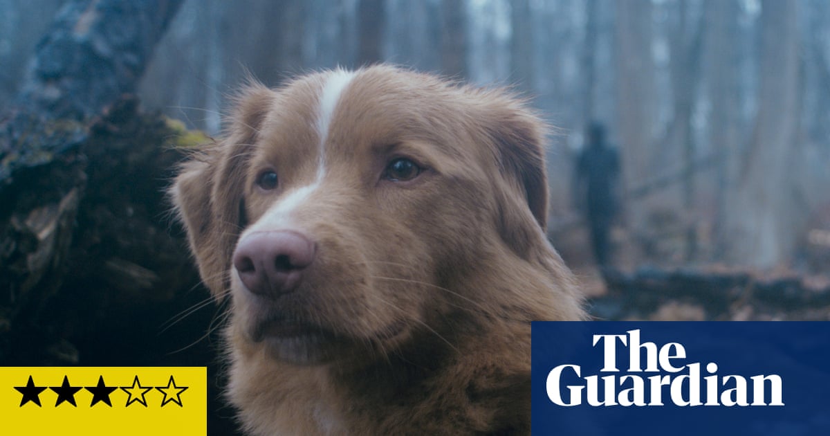 Good Boy review – crafty supernatural horror leads with a heroic dog