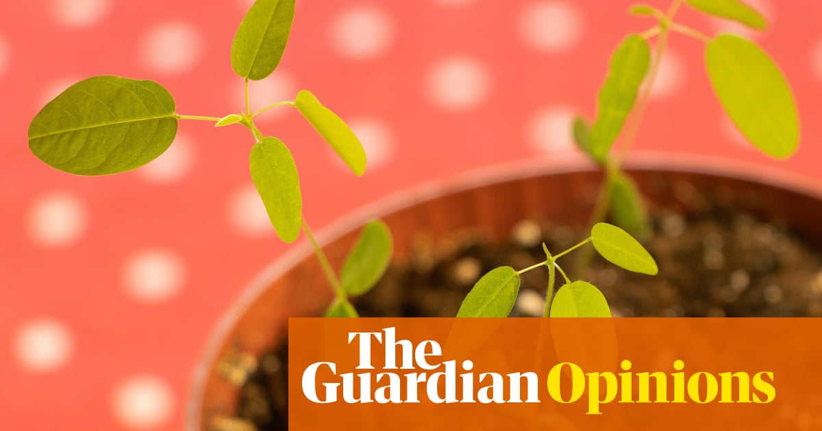 Despite my best efforts, my patient suffers. When we feel thwarted by nature all we can do is cling to hope | Ranjana Srivastava