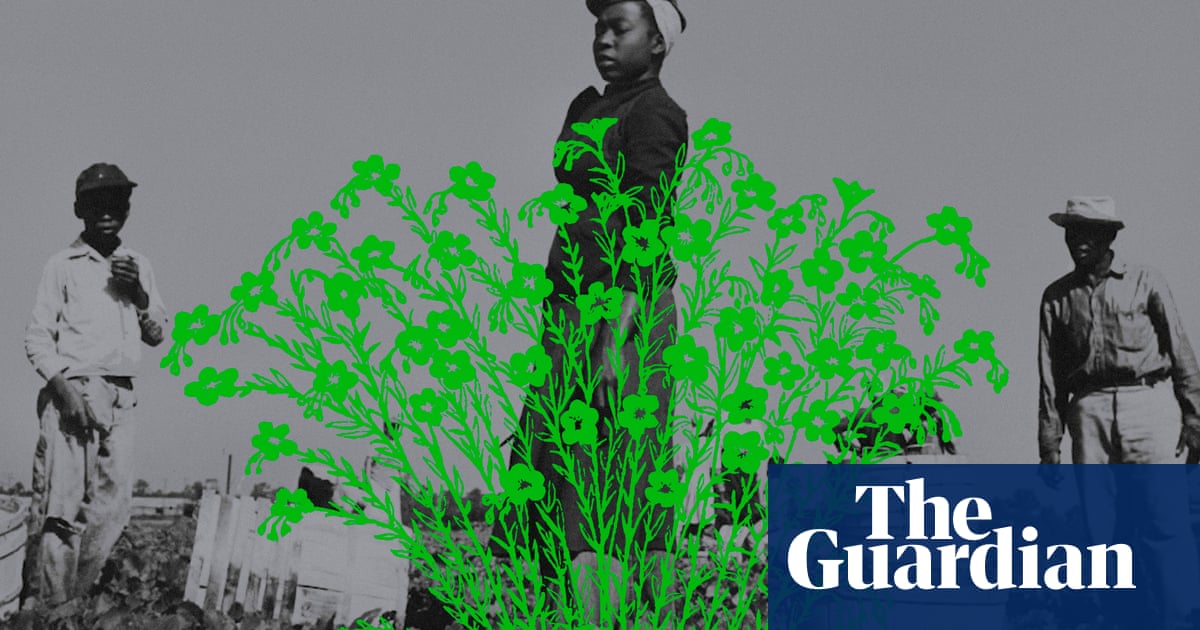 Cómo los afroamericanos han sido estafados de la propiedad de tierras – y el movimiento para revertir esto | Libros Cómo los afroamericanos han sido estafados de la propiedad de tierras – y el movimiento para revertir esto | Libros