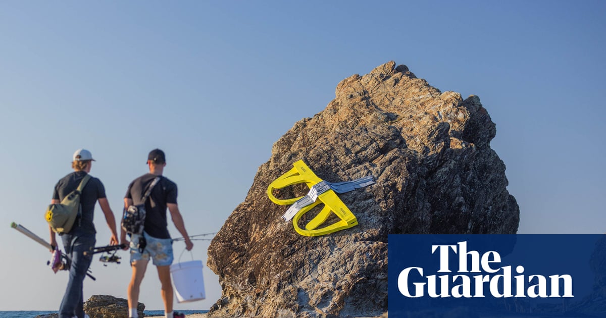 A sea of hands, a giant ‘lifesaver-saurus’ and a melting robot: Queensland’s SWELL sculpture festival 2026 – in pictures