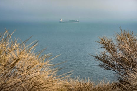 A cargo ship stranded in the strait of Hormuz, seen through bare branches across misty sea