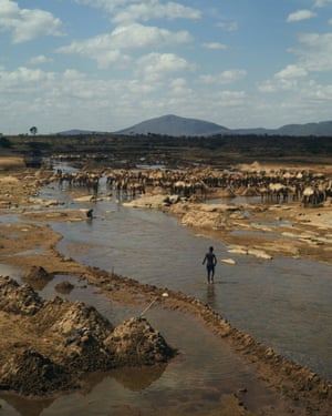 Farmers have to travel increasingly further distances to find water for their livestock
