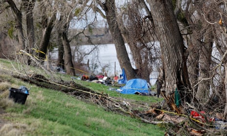 View of where a homeless woman was killed by a falling tree branch at the bank of the Sacramento River.