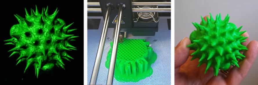 A surface-rendered digital image of a single pollen grain generated by confocal microscopy (left) is 3D printed into a 2000x scale replica model (centre and right).