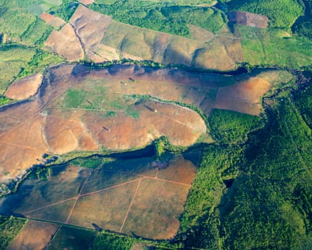 An aerial photograph of a deforested clearing