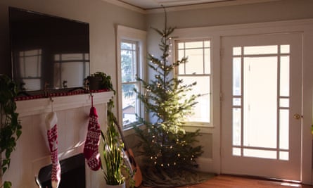 Un arbre de Noël, taillé dans la forêt domaniale de Mendocino, exposé dans la maison de Gabrielle Canon.