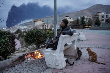 A man sits on a bench with three cats nearby as huge clouds of smoke can been seen in the distance.