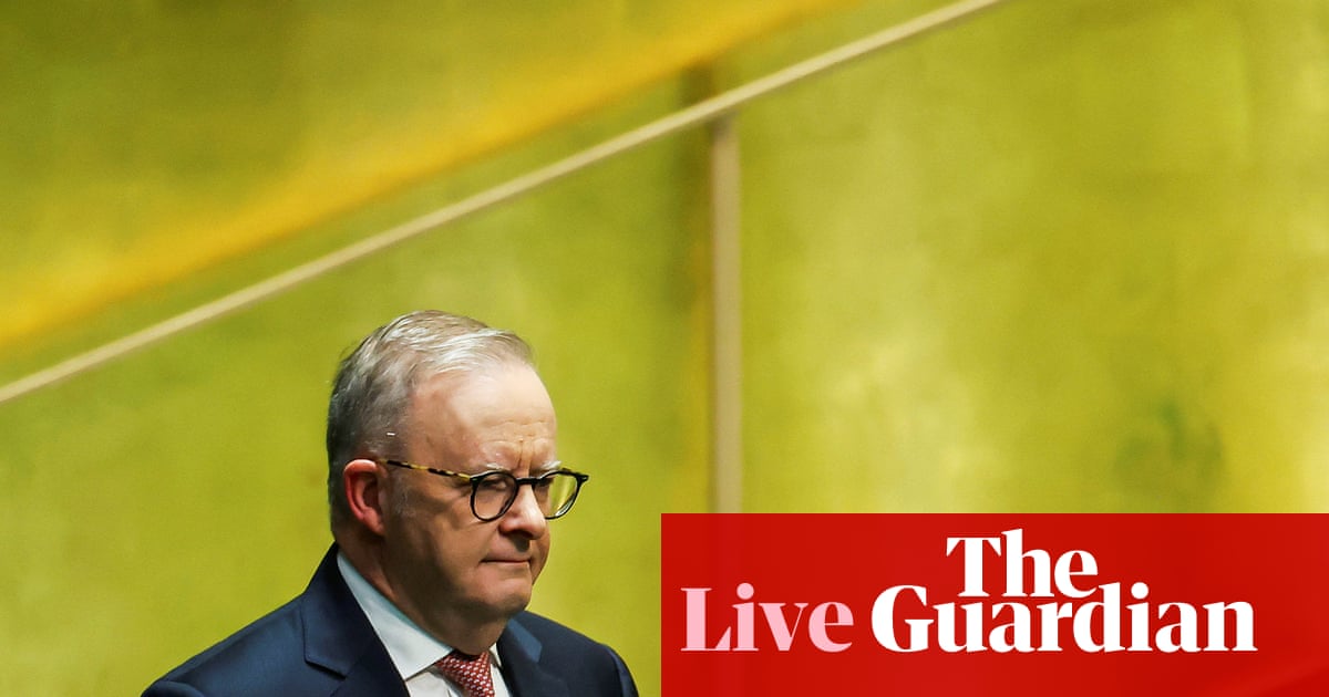 Angus Taylor accuses Albanese of 'swanning around' at UN as AI hack exposes Medicare vulnerabilities
