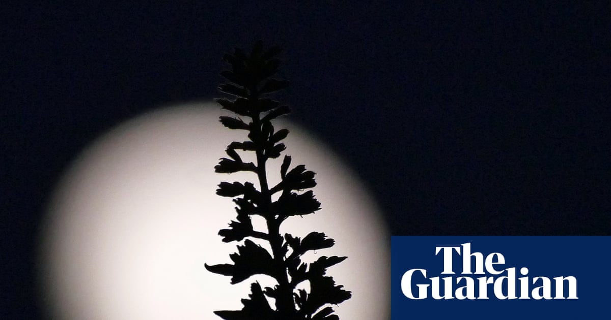 Jared Isaacman at the White House, auditioning for the role of ‘NASA Administrator Who Gets the Flag Shot Before the Budget Collapses.’