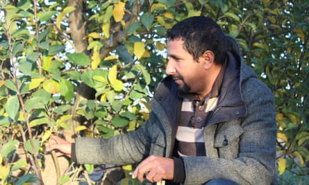 Farmer Mohammed Ibrahimi examines apples on his plot in Boumia