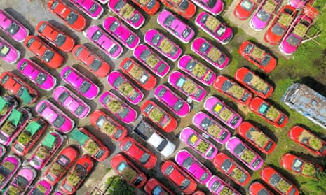 An aerial photo shows taxis used to grow vegetables at a parking lot in Bankok, Thailand. At a parking lot on the outskirts of Bangkok, hundreds of taxis were out of service for more than a year due to the epidemic. Taxi company staff piled soil on the roof and hood of these cars to grow vegetables and distributed them to employees and unemployed drivers.