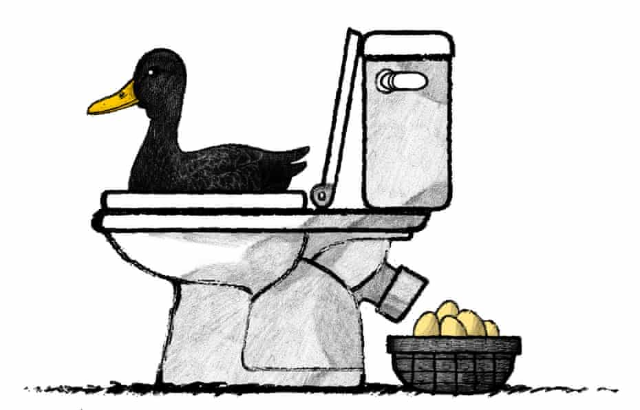 Illustration by David Foldvari of a duck laying eggs through a toilet