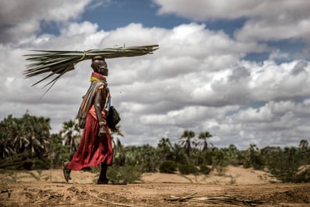A woman balances a bundle of palm leaves on her head.