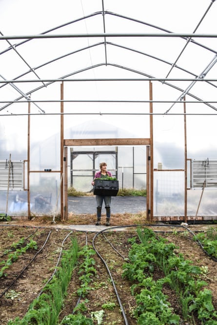 Liz Whitehurst, owner of Owl’s Nest Farm outside of Washington DC, harvests greens from one of the farm’s two greenhouses.