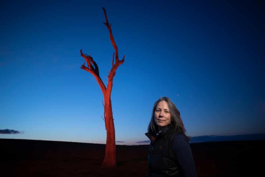 Journalist and Author Gabrielle Chan on her sheep and wheat property on the South West slopes of NSW