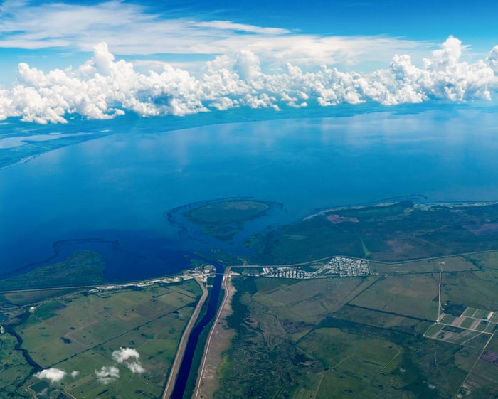 Hormone-disrupting herbicide contaminating 25% of continental US rivers, report finds