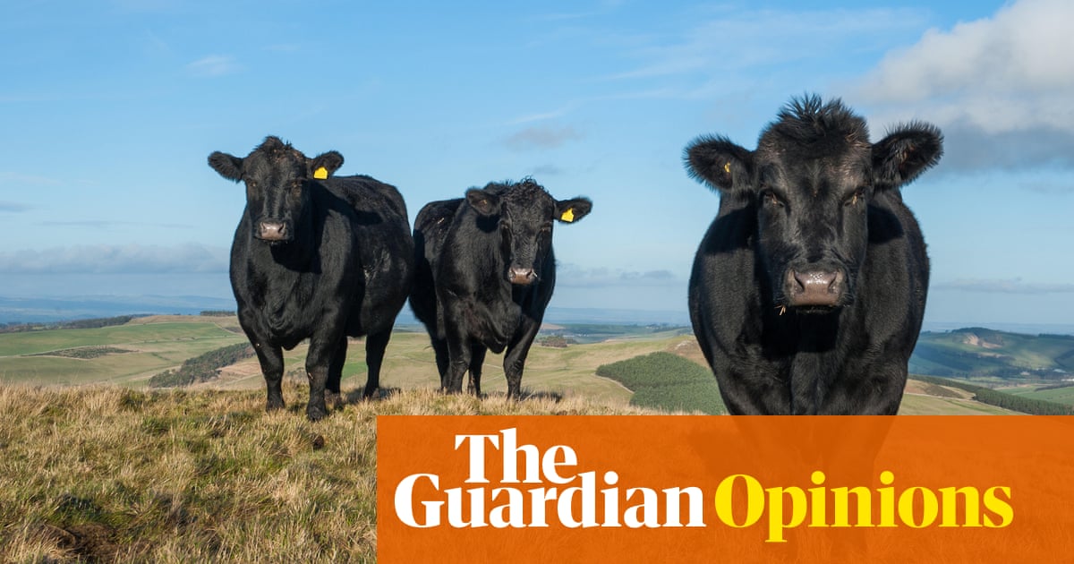 The low-hanging fruit in the climate battle? Cutting down on meat