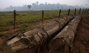 Logs along the road to Jacunda national forest, near the city of Porto Velho in Brazil’s Amazon.