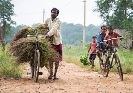 Ghatbarra resident Manoj Kumar Yadav transports a crop of rice.