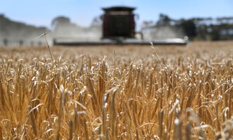 Australia has agreed to temporarily suspend its challenge against China’s tariffs on barley through the World Trade Organization dispute process.