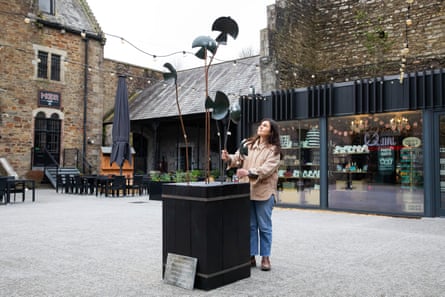 Rebecca Proctor stands behind a black box with ceramic jackdaws standing on high poles
