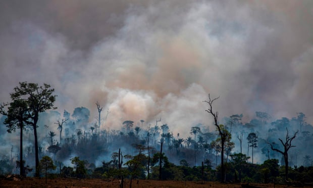 Forest fires in Altamira, Pará state, Brazil.