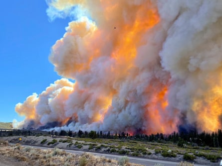 Giant plumes of orange-tinged smoke rise into a blue sky above a landscape of trees and brush.