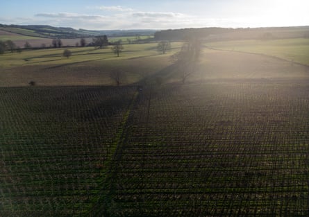 An aerial view of a vineyard at dusk