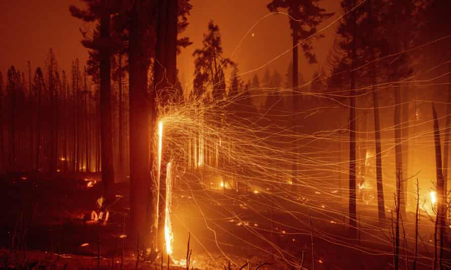 In this long exposure photo, embers fly from burning trees as the Caldor Fire grows east of Sly Park, California.