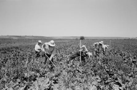 people working on a farm
