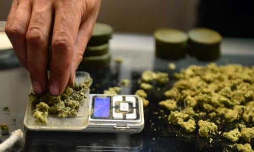 Dreaming of the billion-dollar high in California's marijuana green rush |  Cannabis | The Guardian